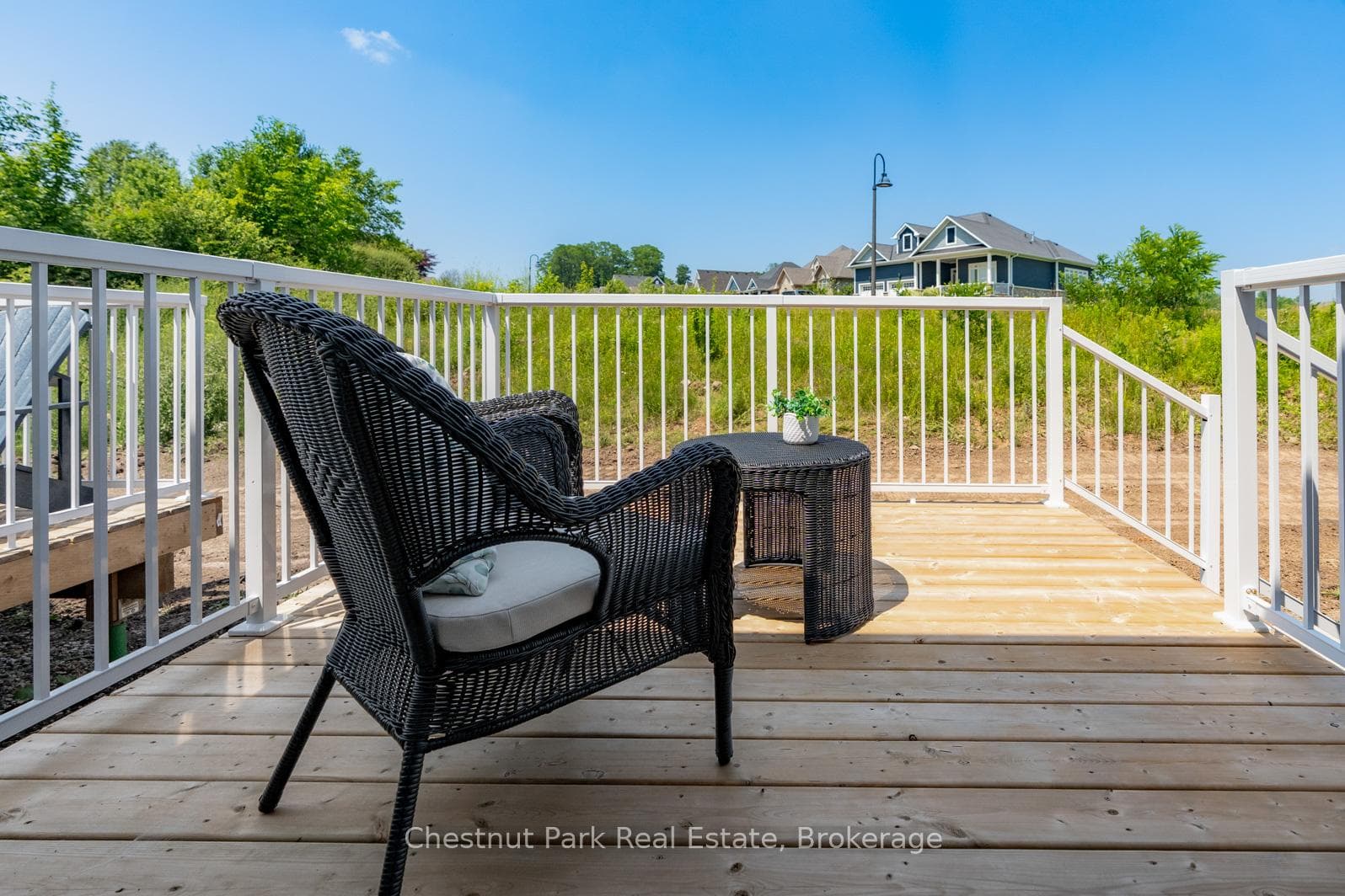 161 Hawthorn Crescent photo 16