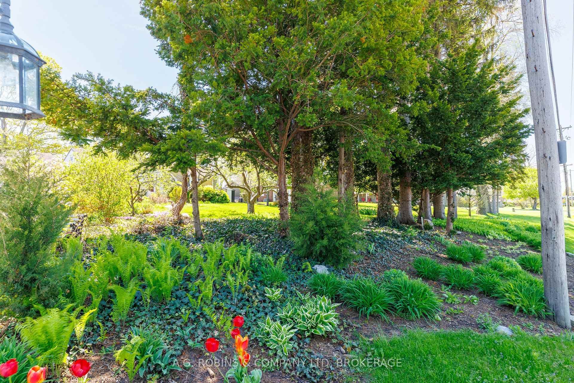 10773 Lakeshore Road photo 4