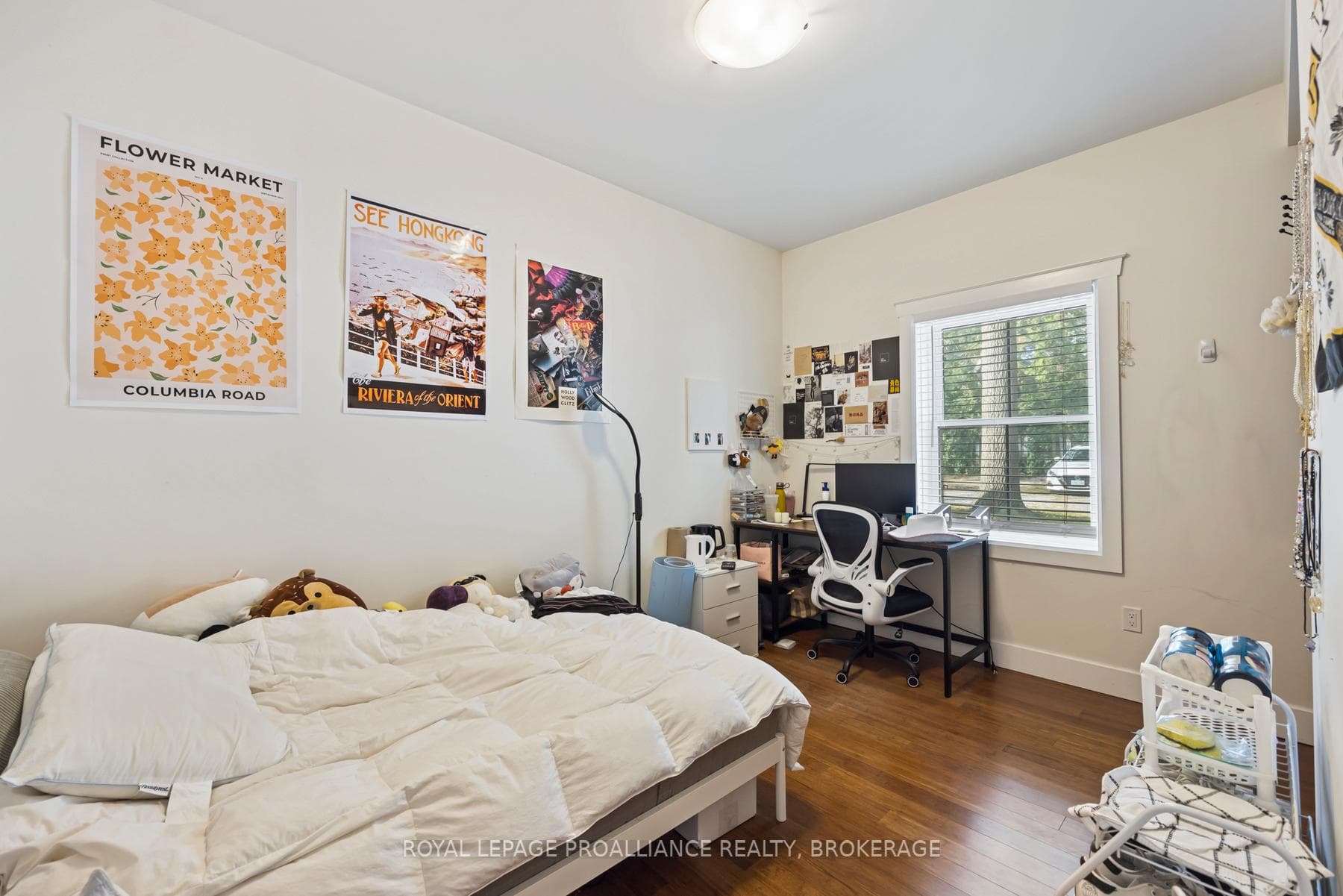204 Alfred Street photo 40