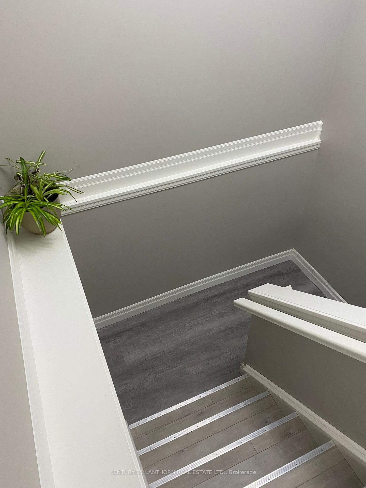 7 Caleb Crescent photo 7