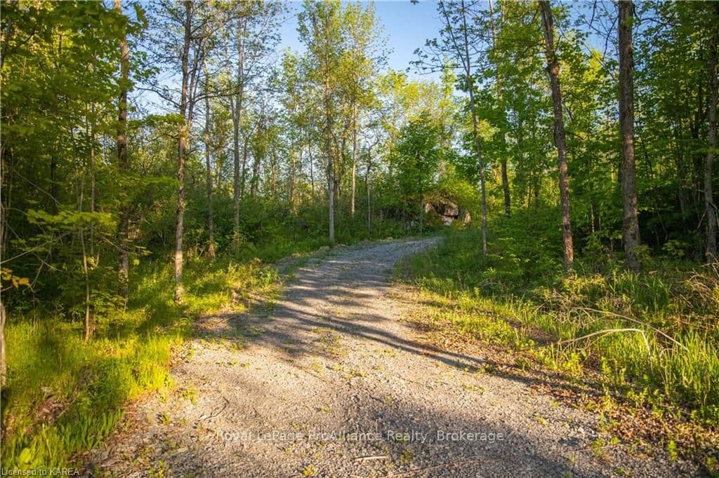 PT LT 44 NINTH CONCESSION Road photo 3