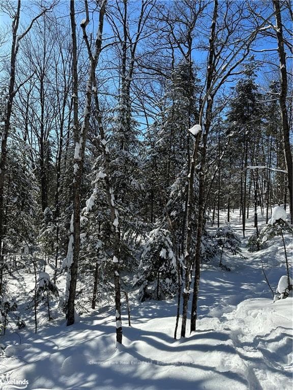 LOT 2 DWIGHT BEACH Road photo 35