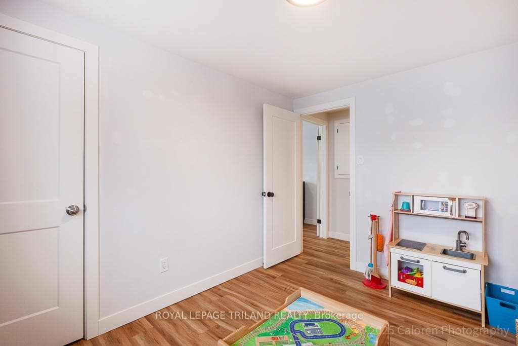 373 Blue Forest Drive photo 19