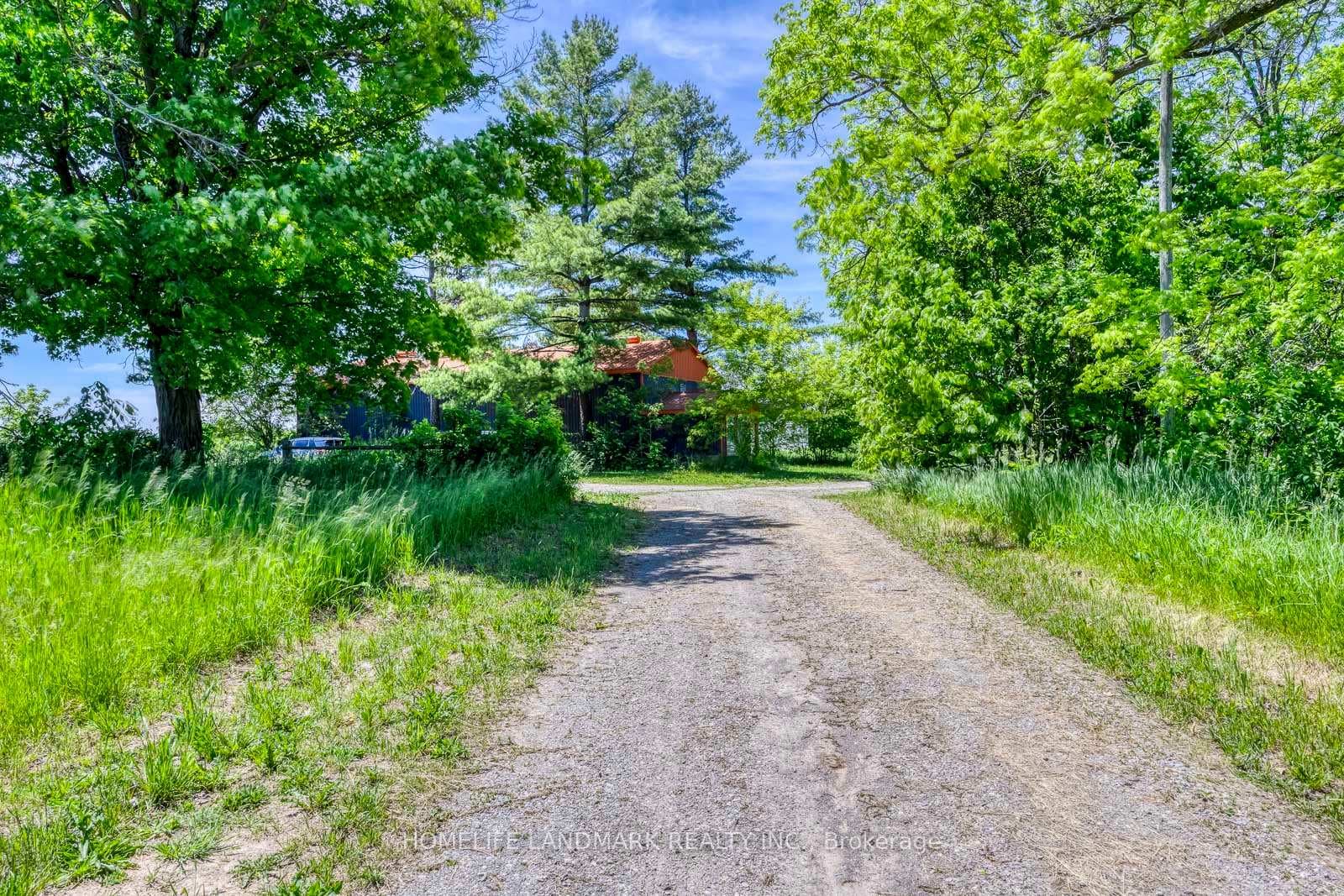 217 Carlisle Road photo 12