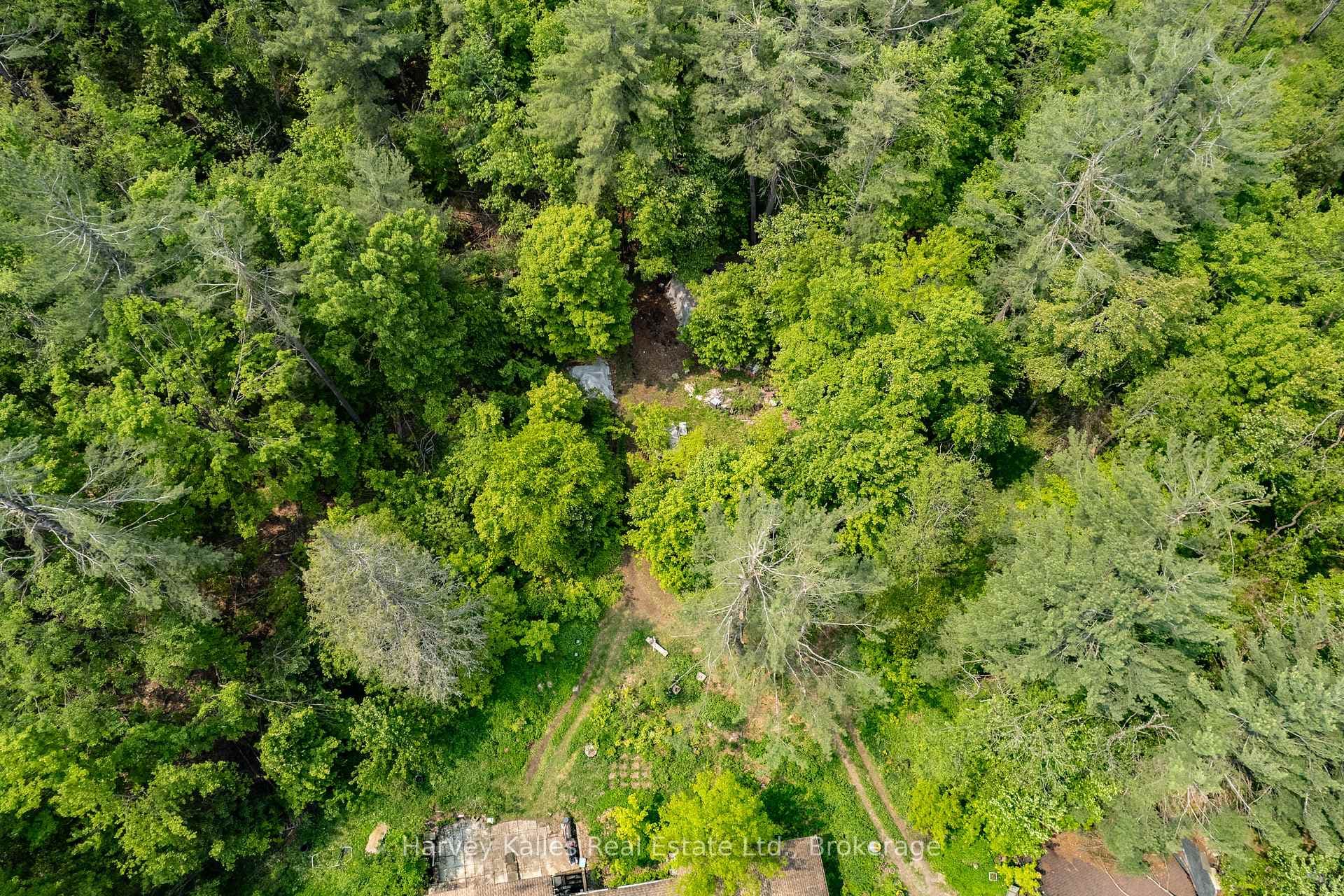 1099 Peterson Road photo 36