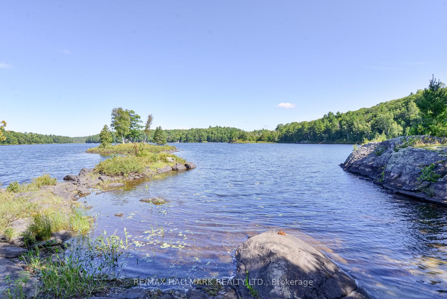 44 Bell Lake Road photo 16