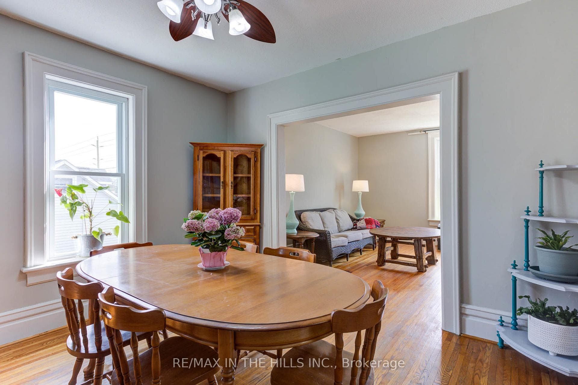 141 Elgin Street photo 10