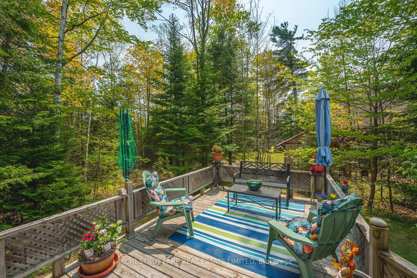 112 FEDY Drive photo 28