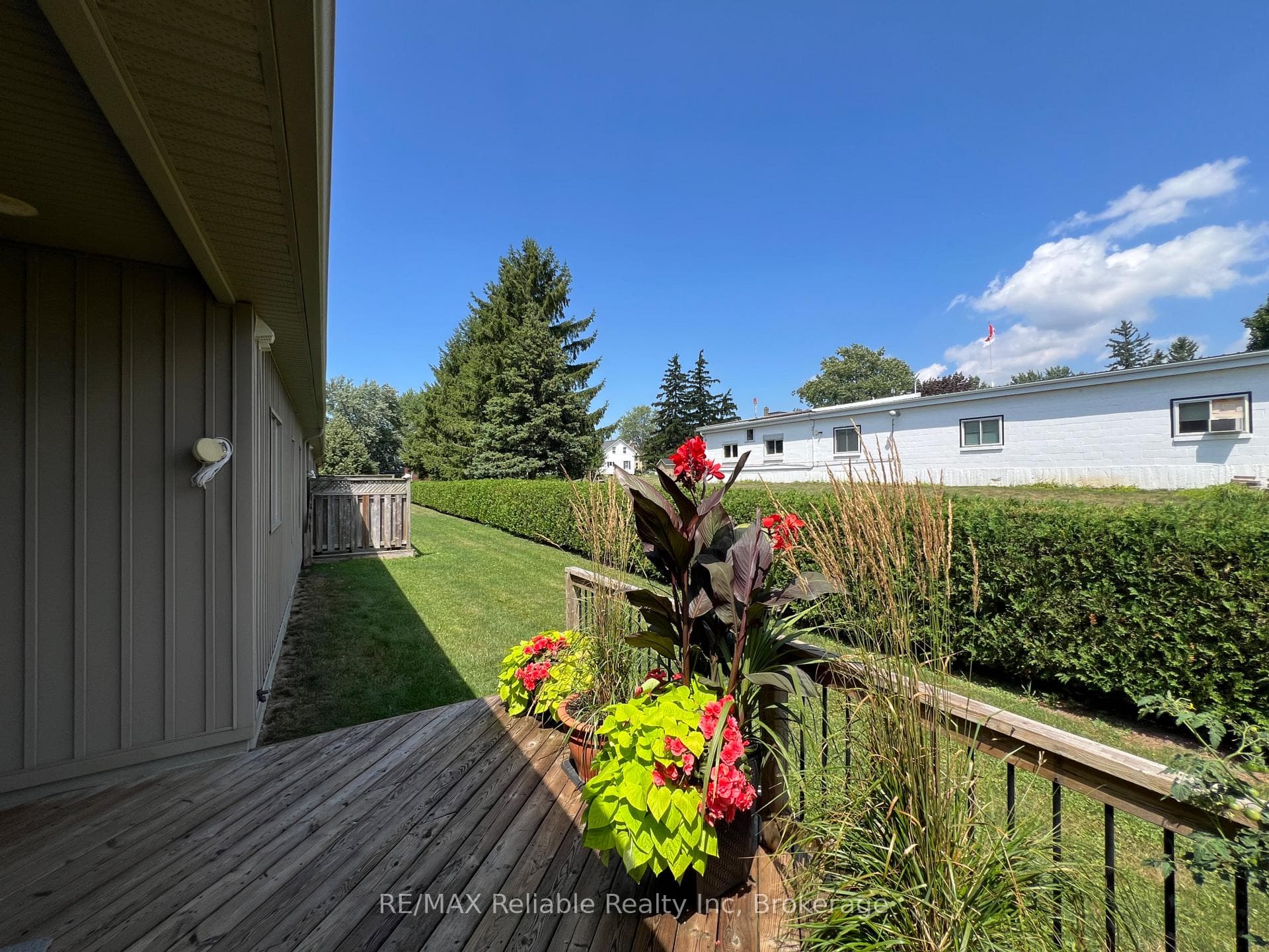 Back Deck