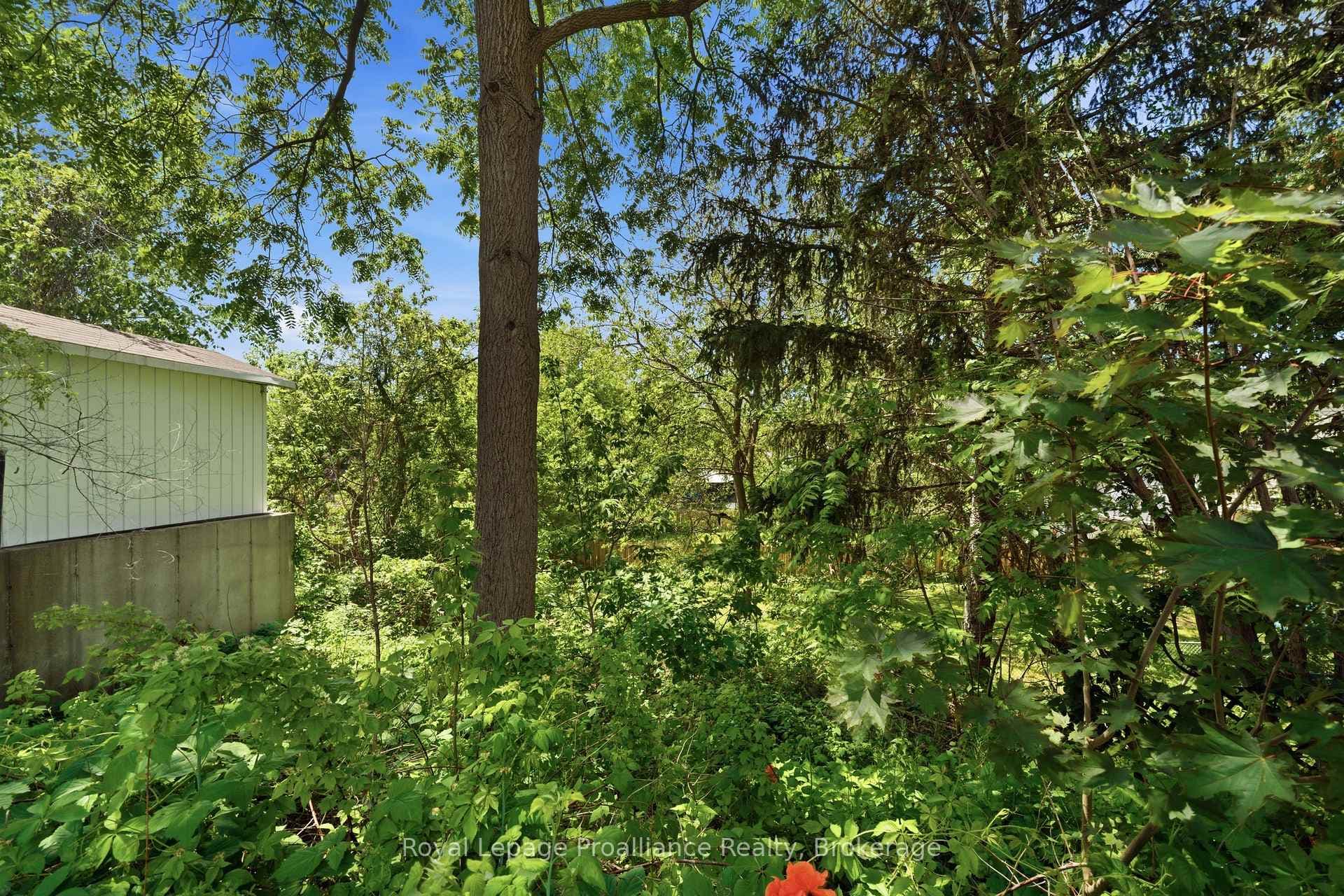 82 Marmora Street photo 48