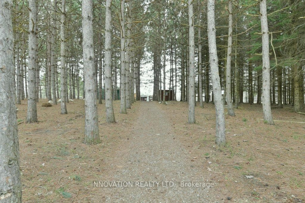 207 Ferguson Falls Road photo 42