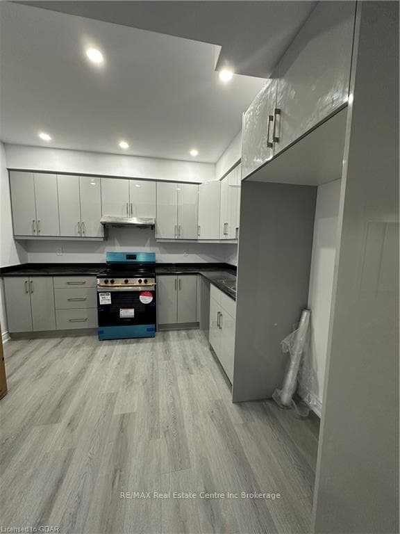 91 MACALISTER BOULEVARD Boulevard photo 3