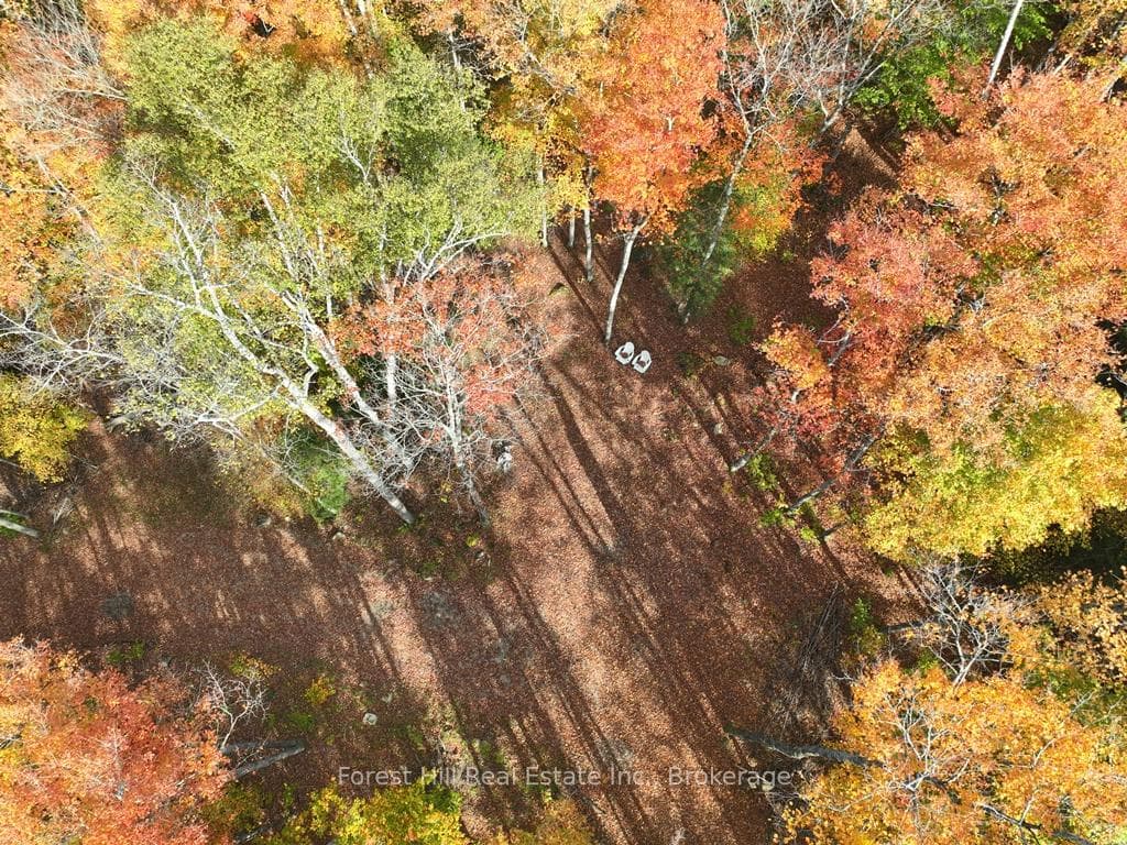 4488 Kawagama Lake Road photo 1
