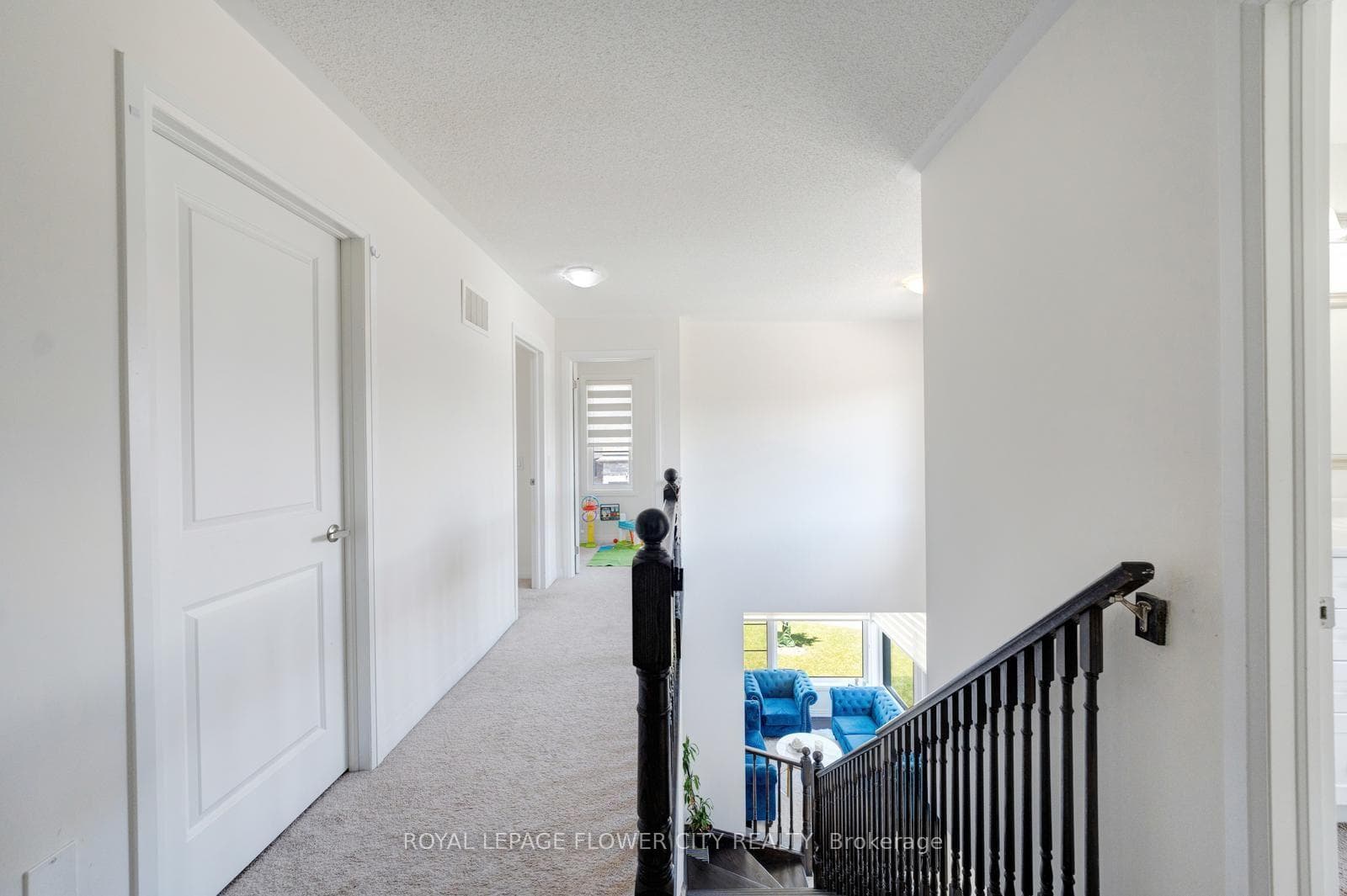 44 Weylie Street photo 32
