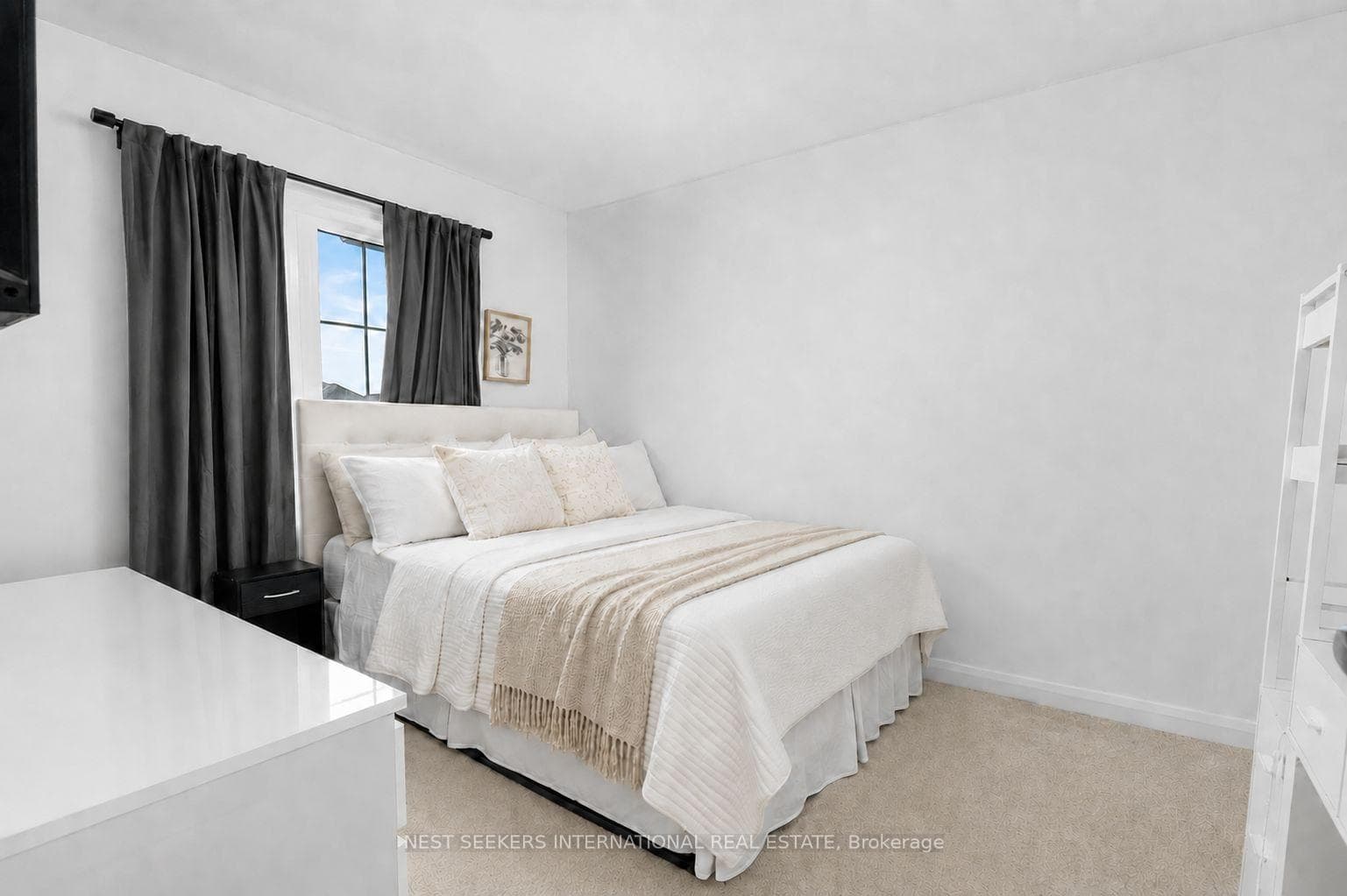 103 Corley Street photo 22