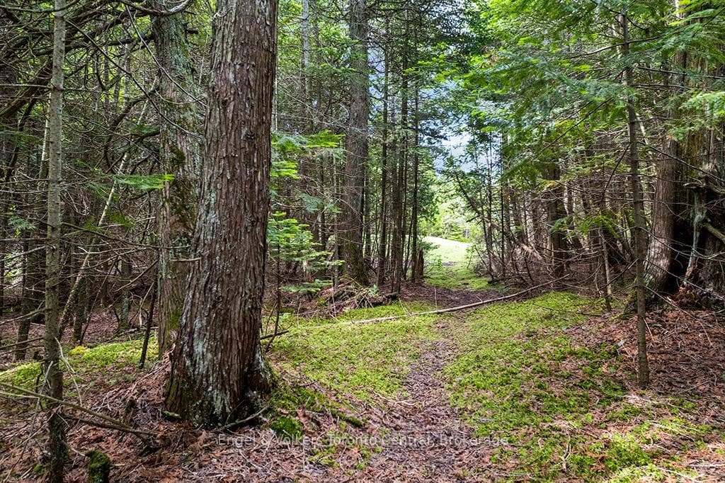 64 Larsen Cove Road photo 46