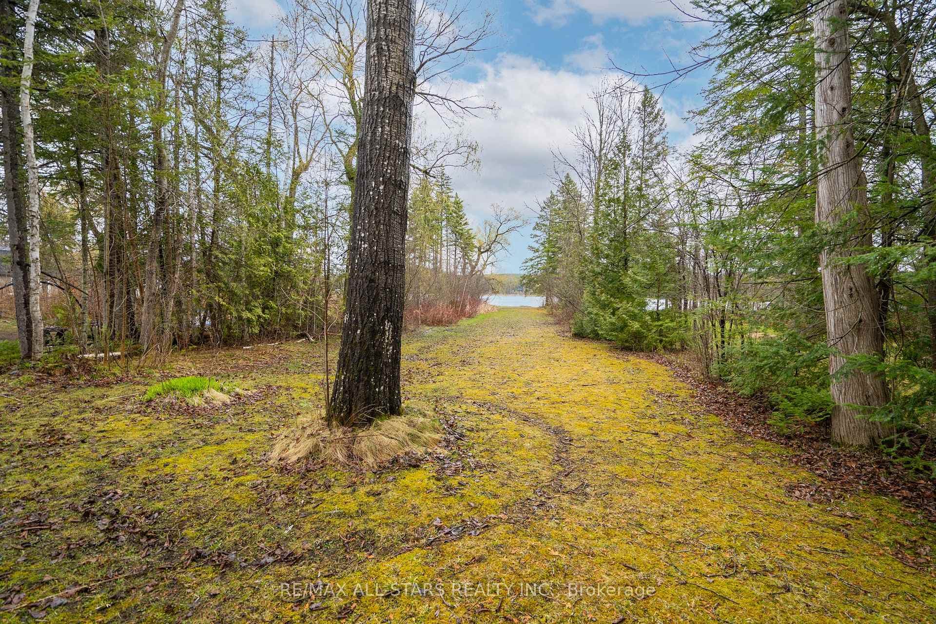 97 Mayfair Drive photo 36