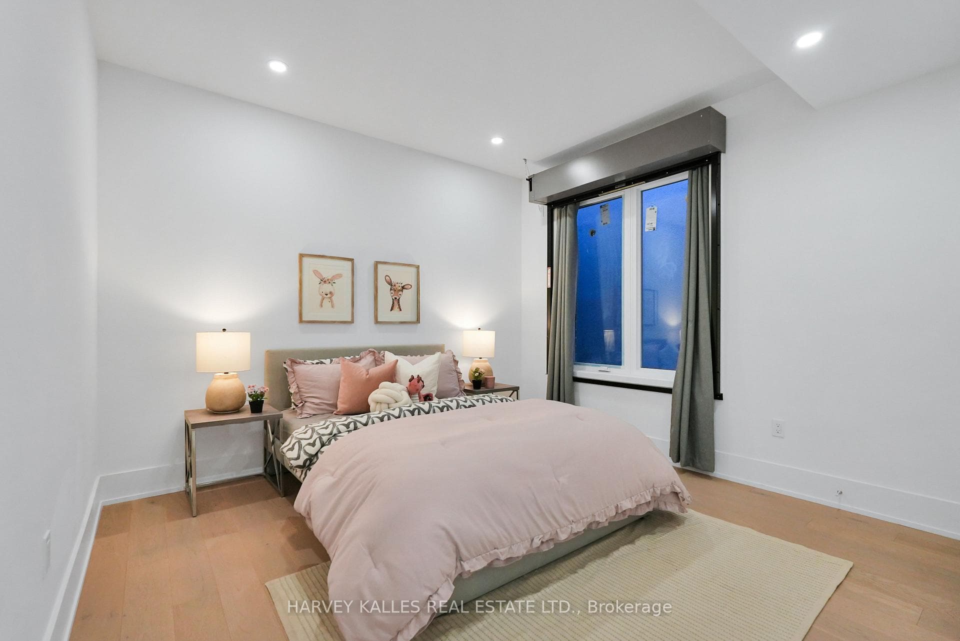 253 Albany Avenue photo 33