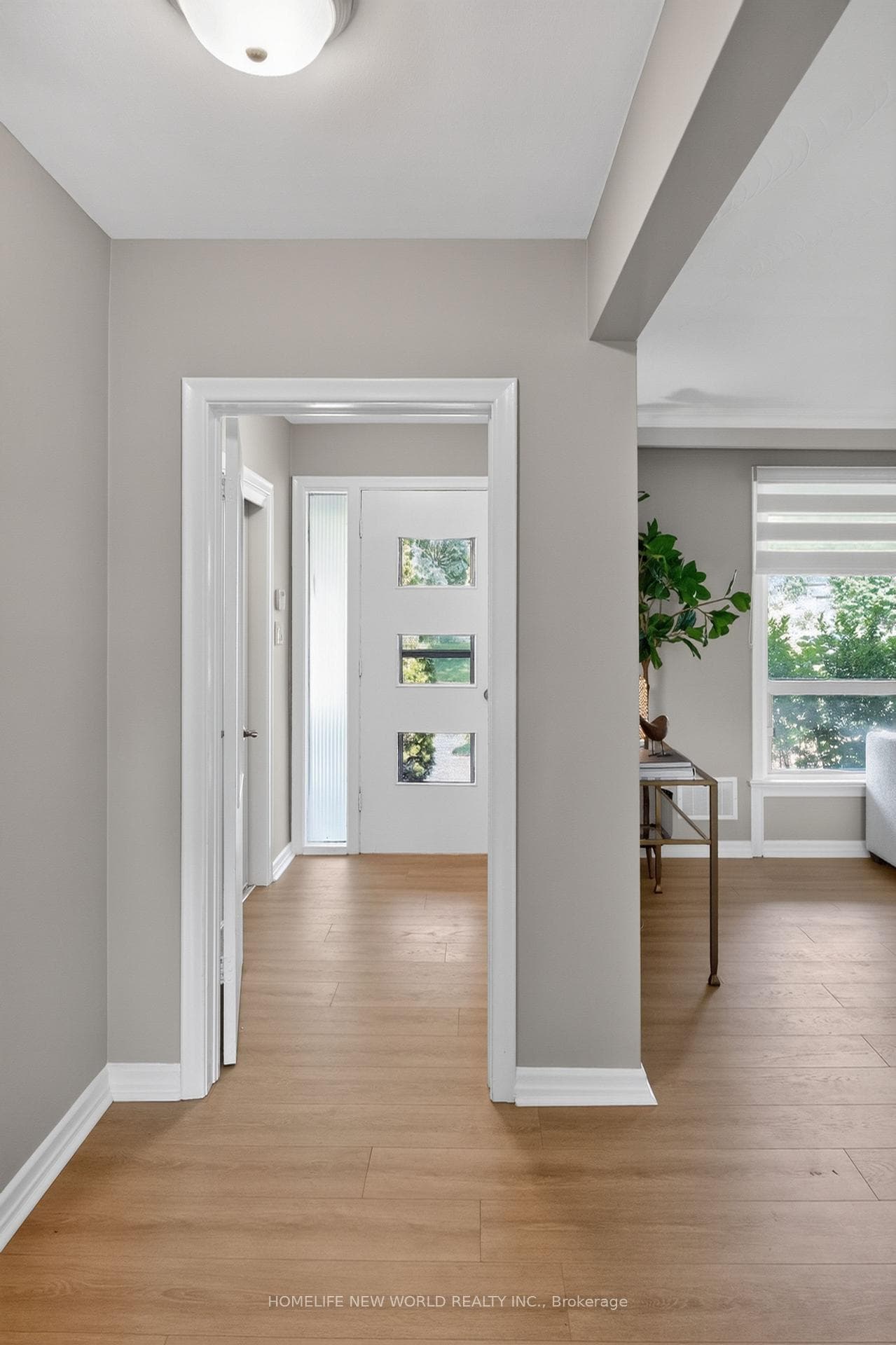 201 Goddard Street photo 6