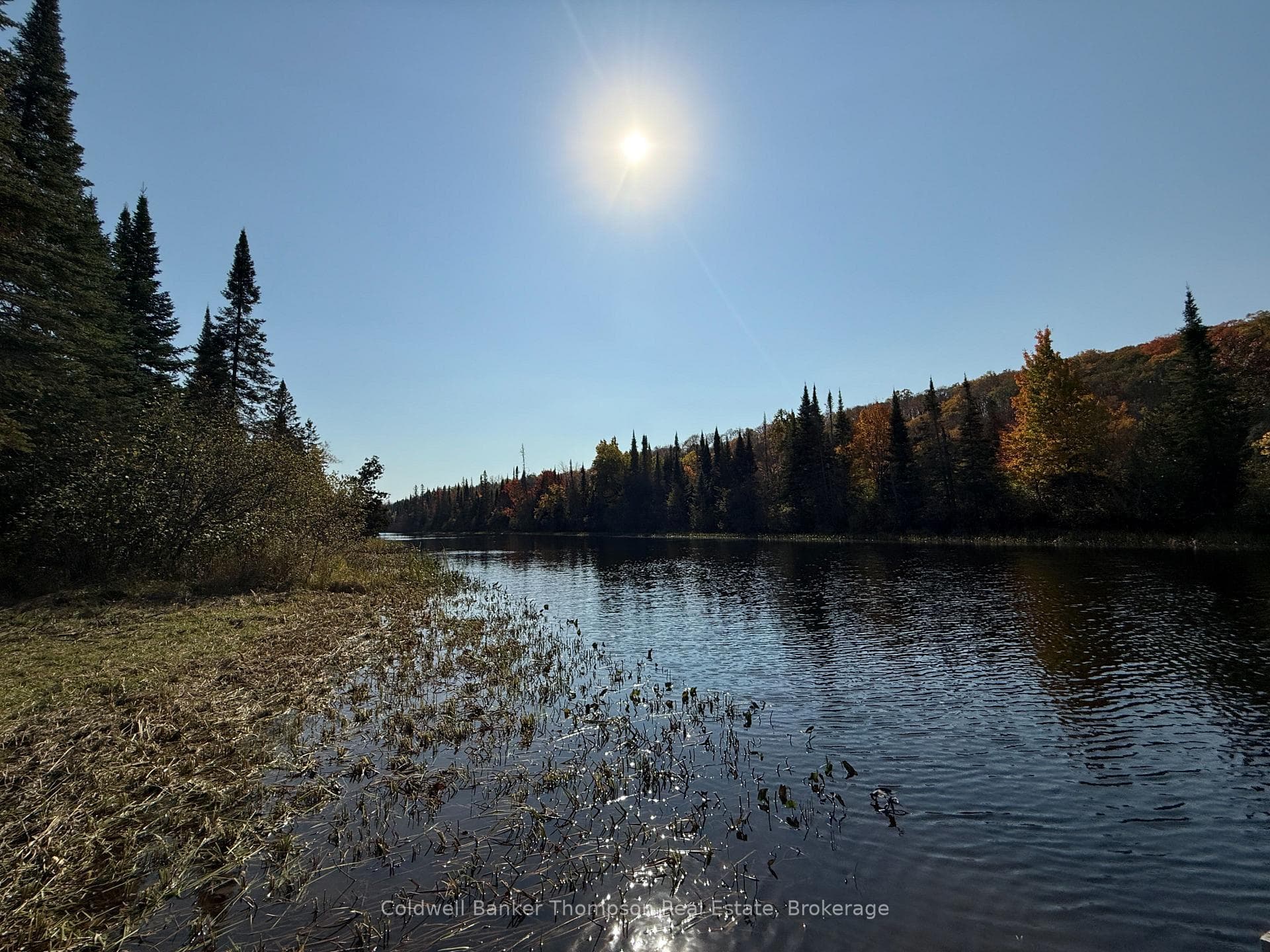 View to the left down river from dock