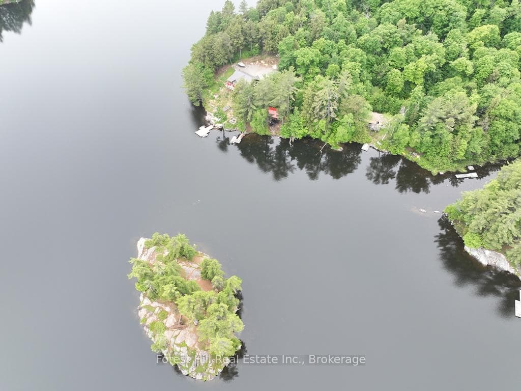 1293 Causeway Drive photo 6