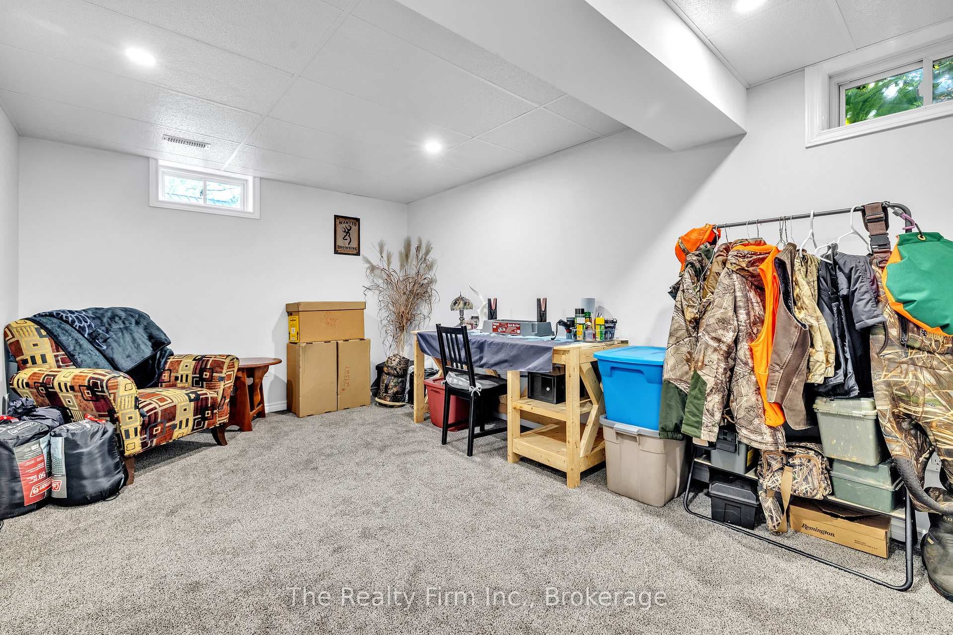 Basement "flex" space