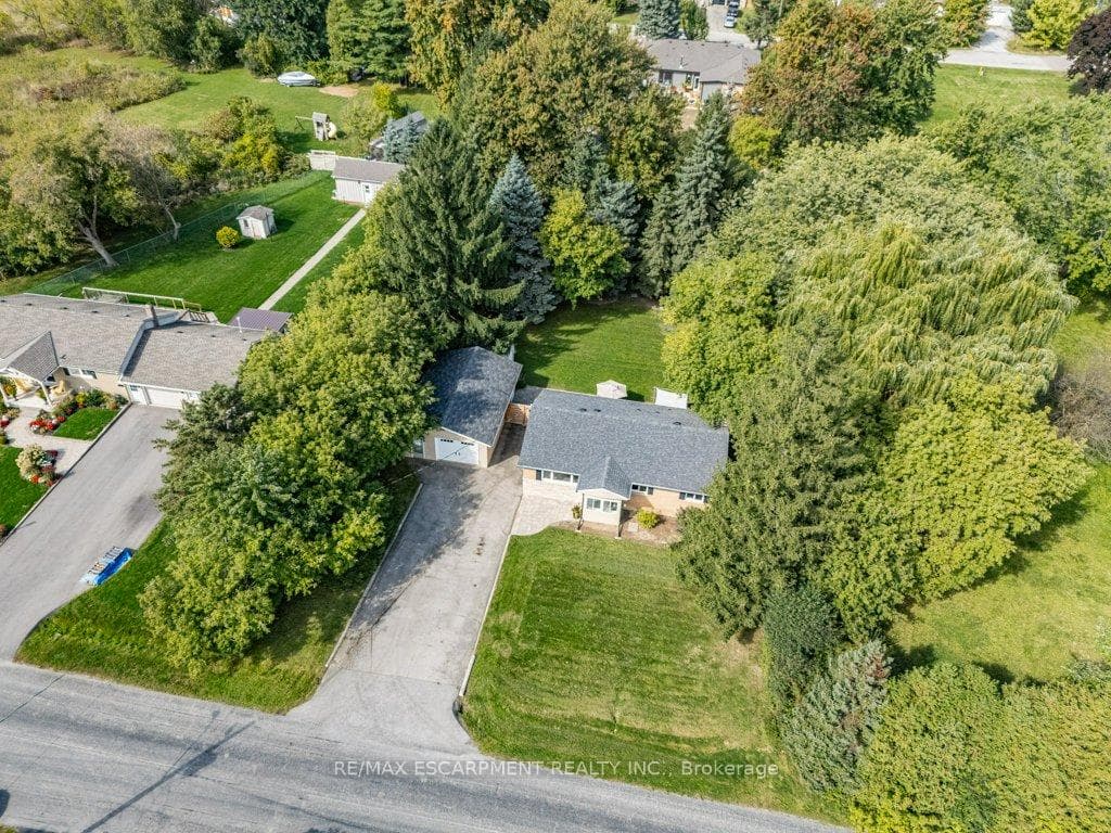 11 Garwood Avenue photo 39