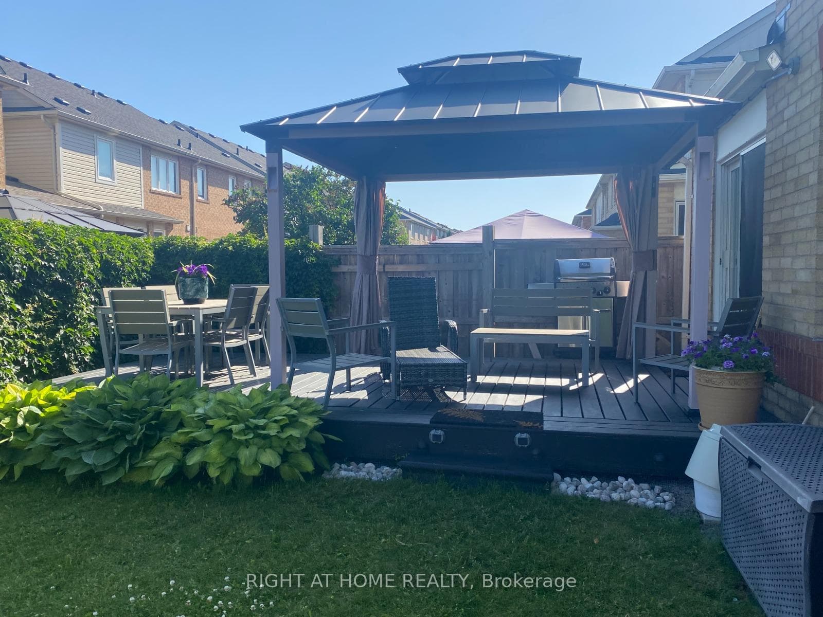 Backyard in Summer