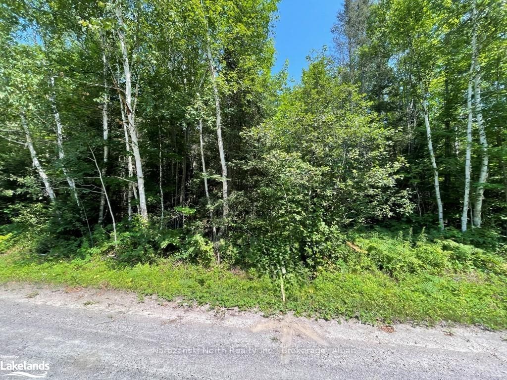 PART 5 NORTH CHANNEL CAMP Road photo 5