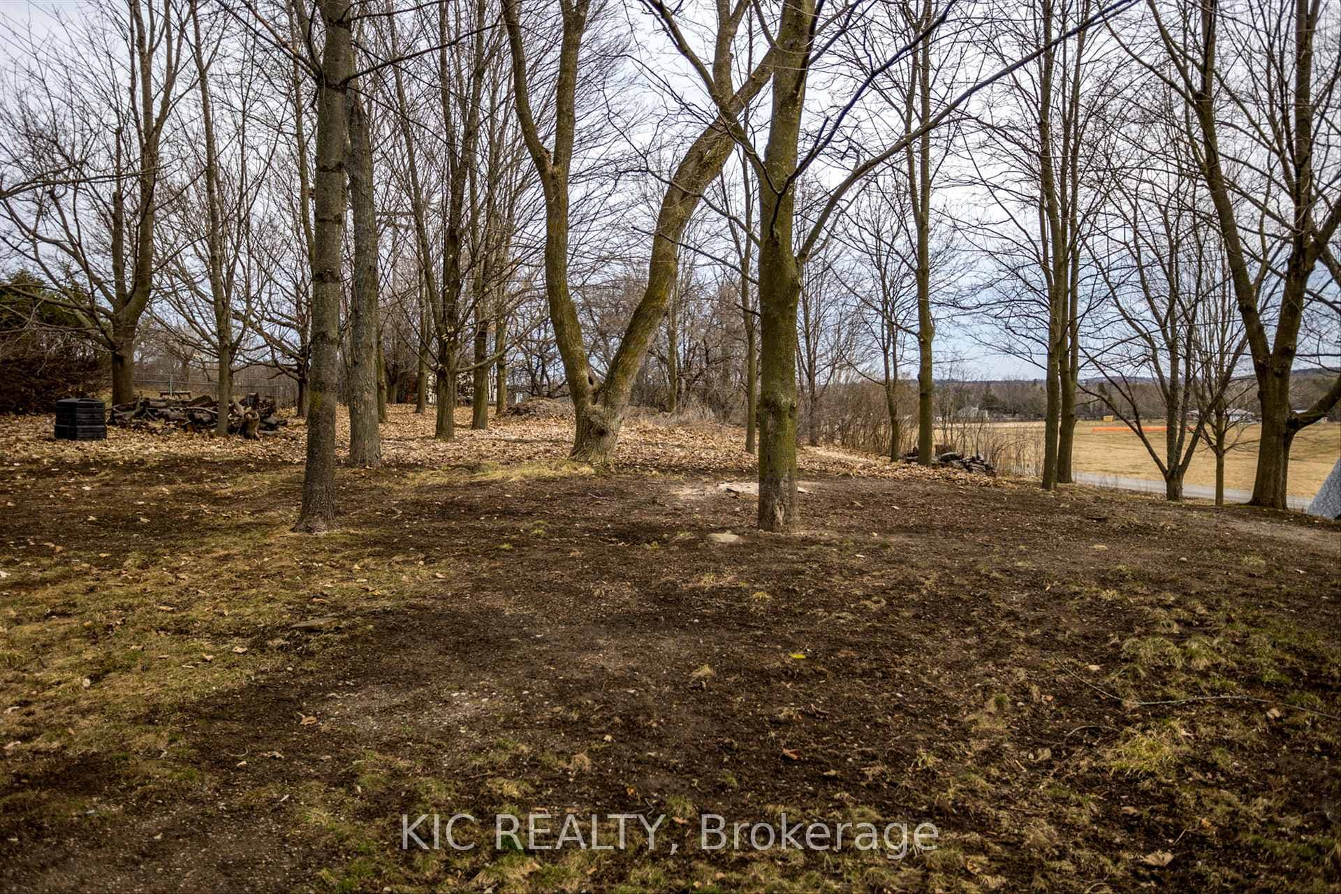 20 Mcnab Avenue photo 21