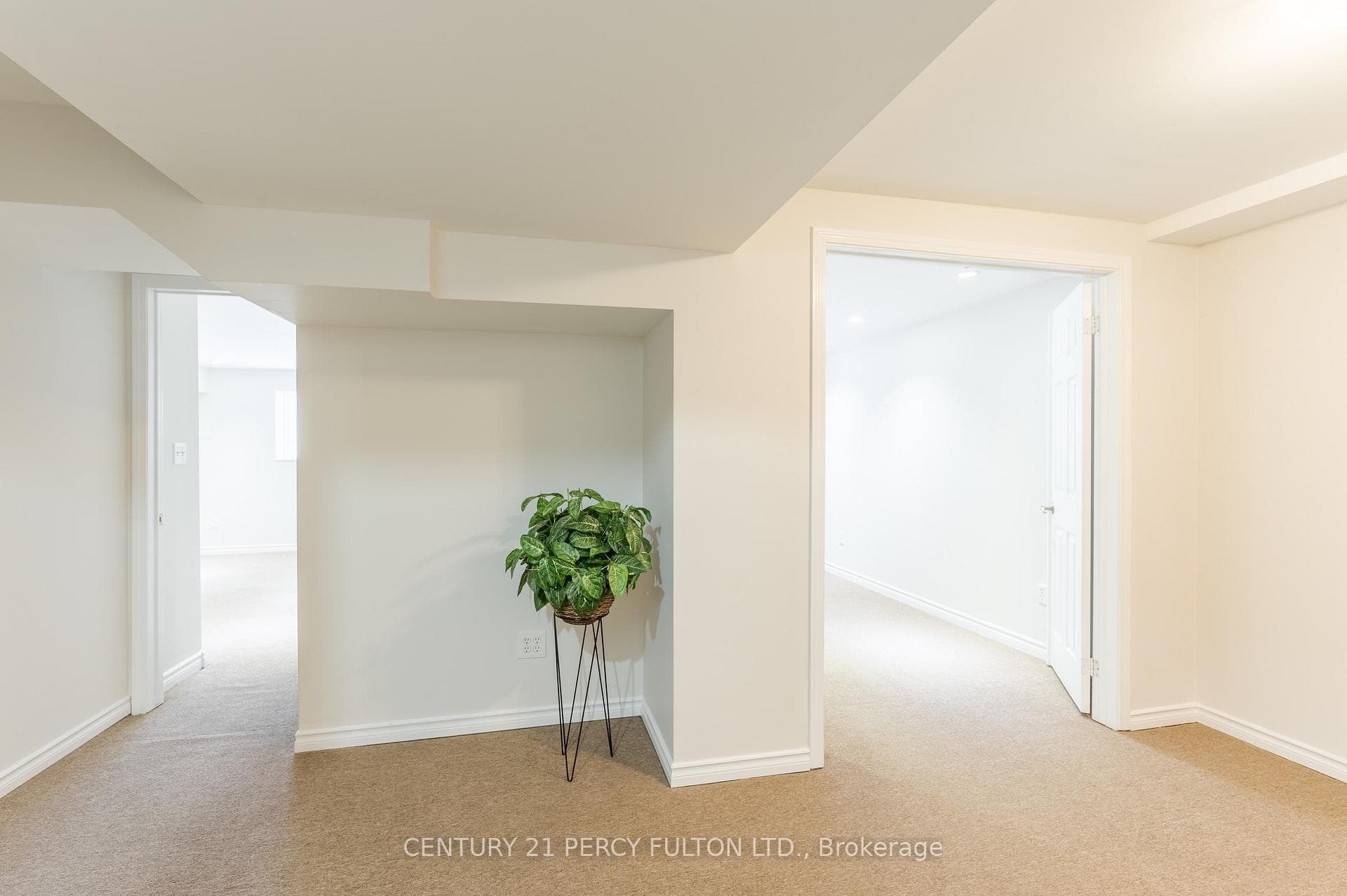 223 Cowling Heights photo 31