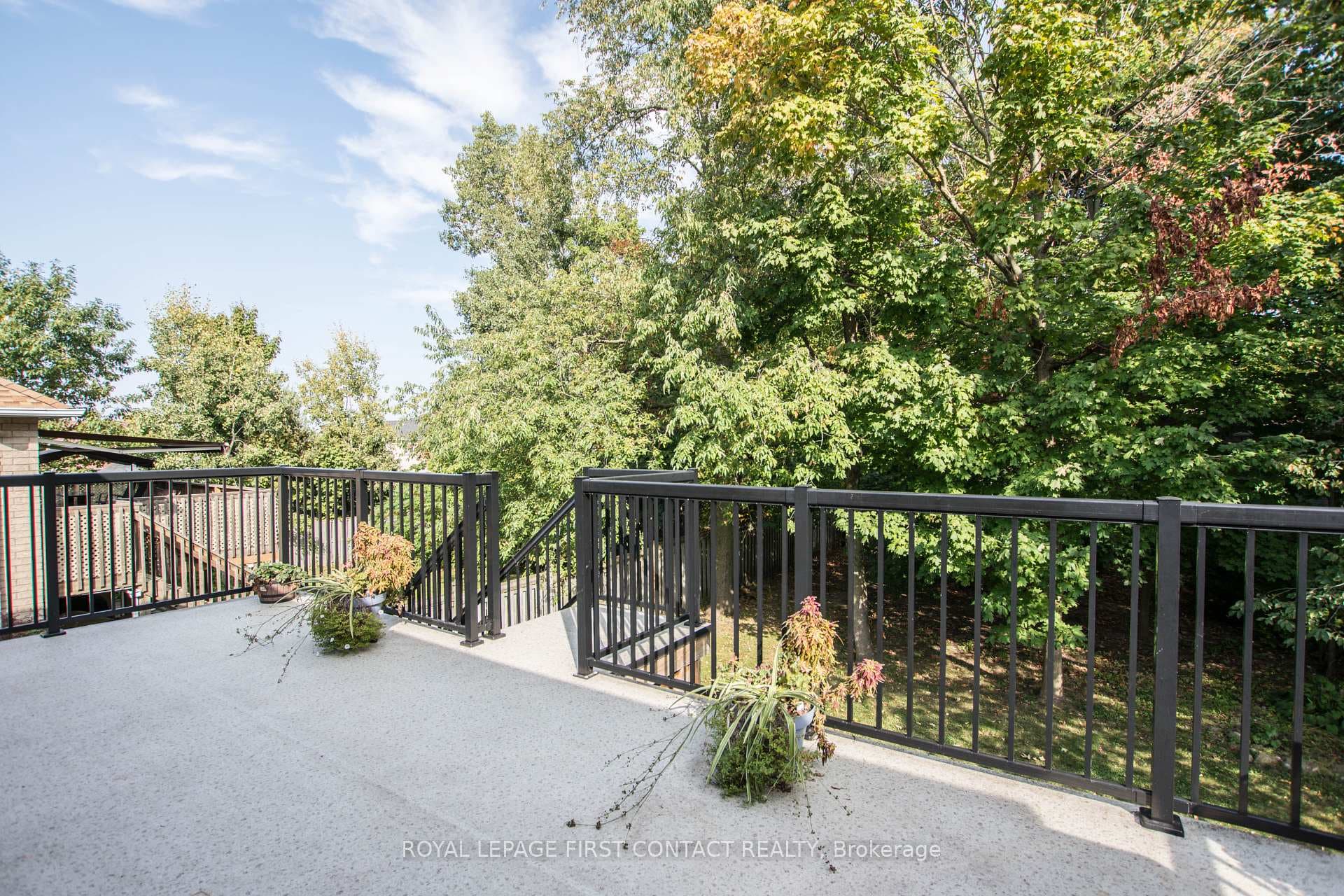 59 Livingstone Street photo 29