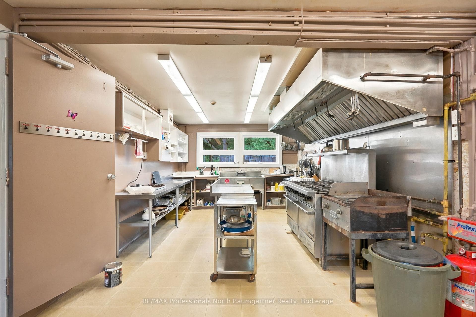 1282 Carroll Road photo 17