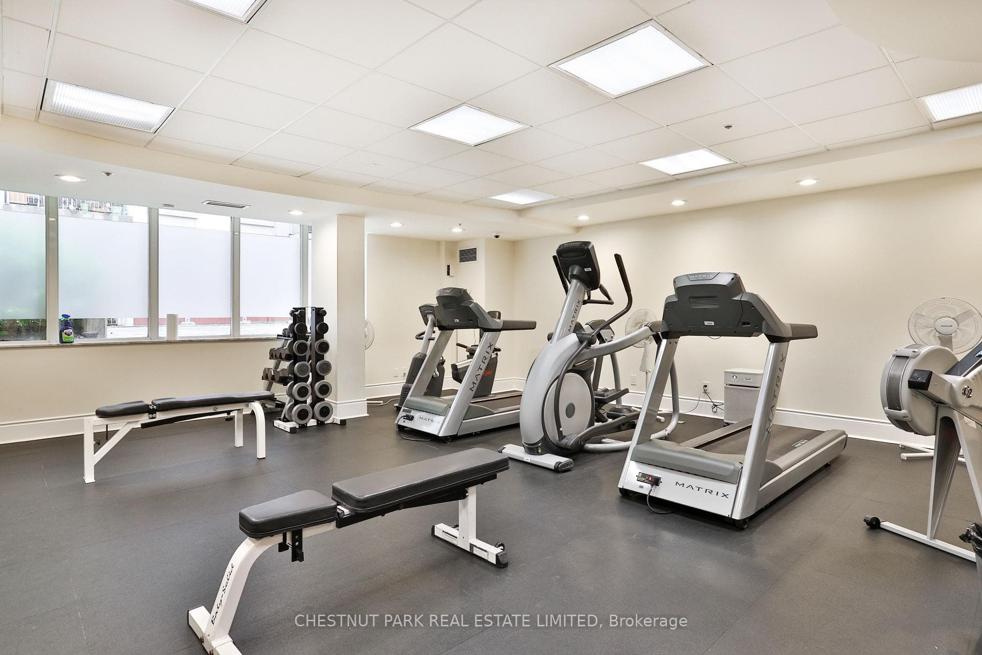 55 Delisle Avenue Unit 301 photo 28