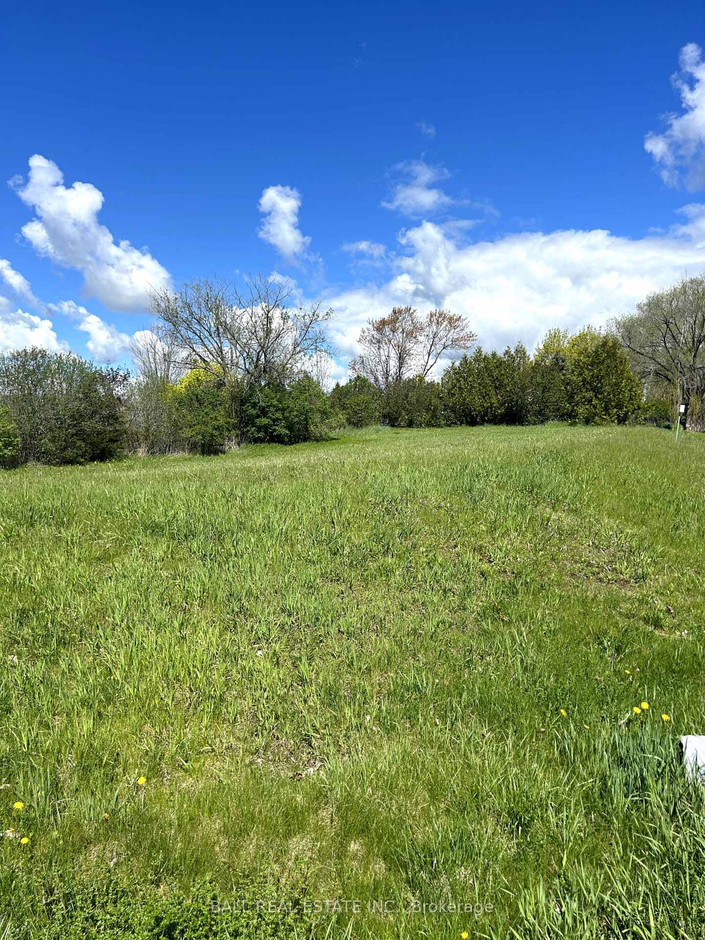 00 River Road photo 1
