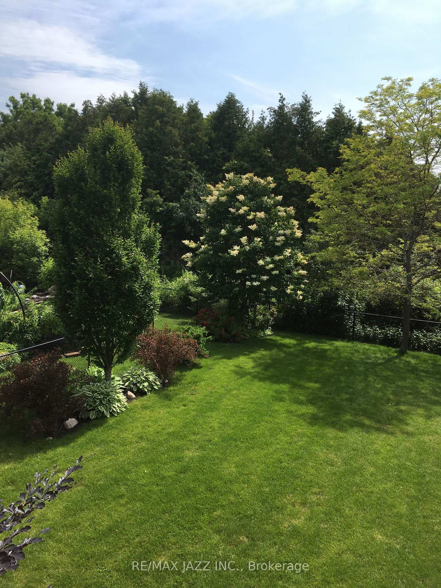 143 Nelson Street photo 27
