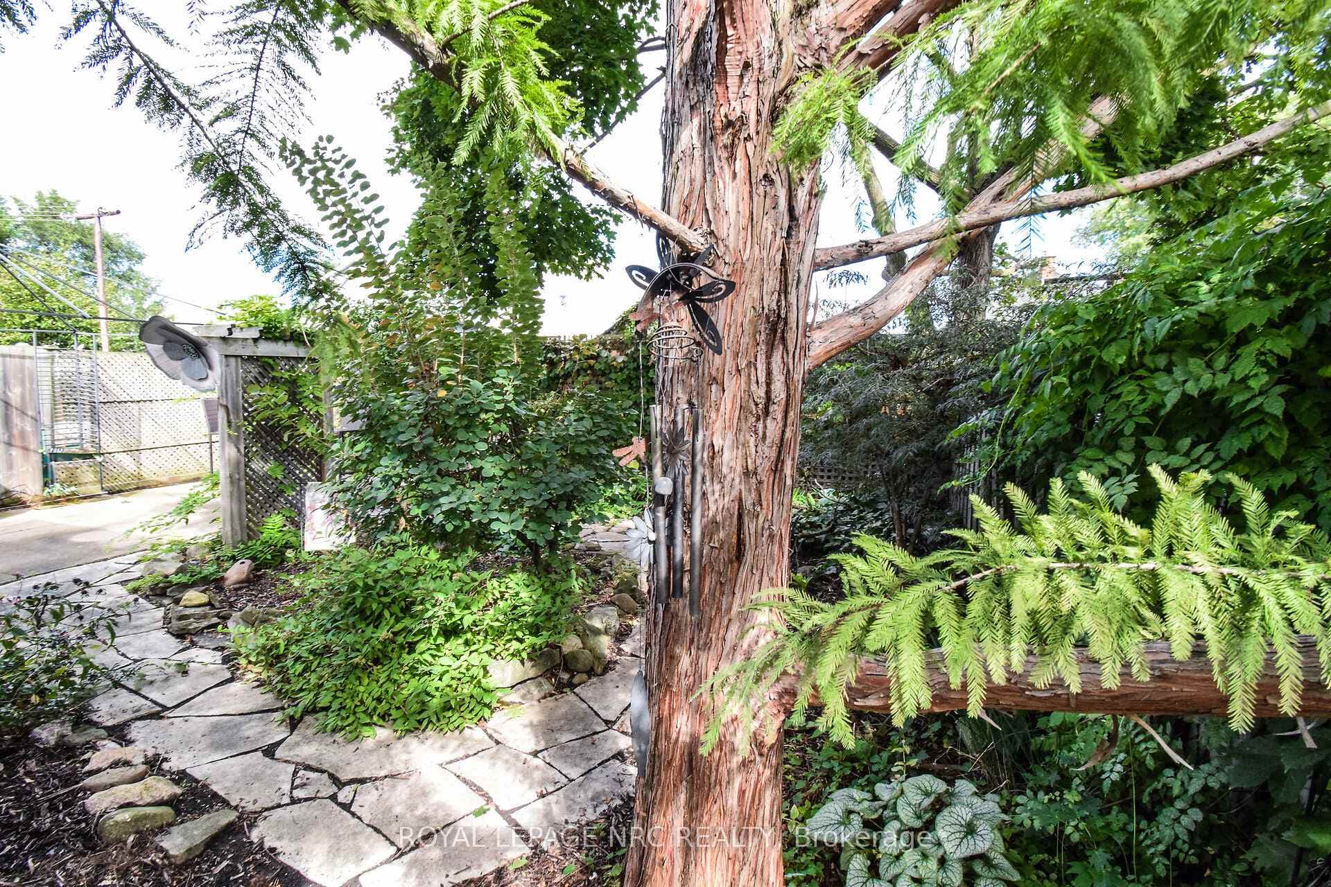 17 TRAPNELL Street photo 46