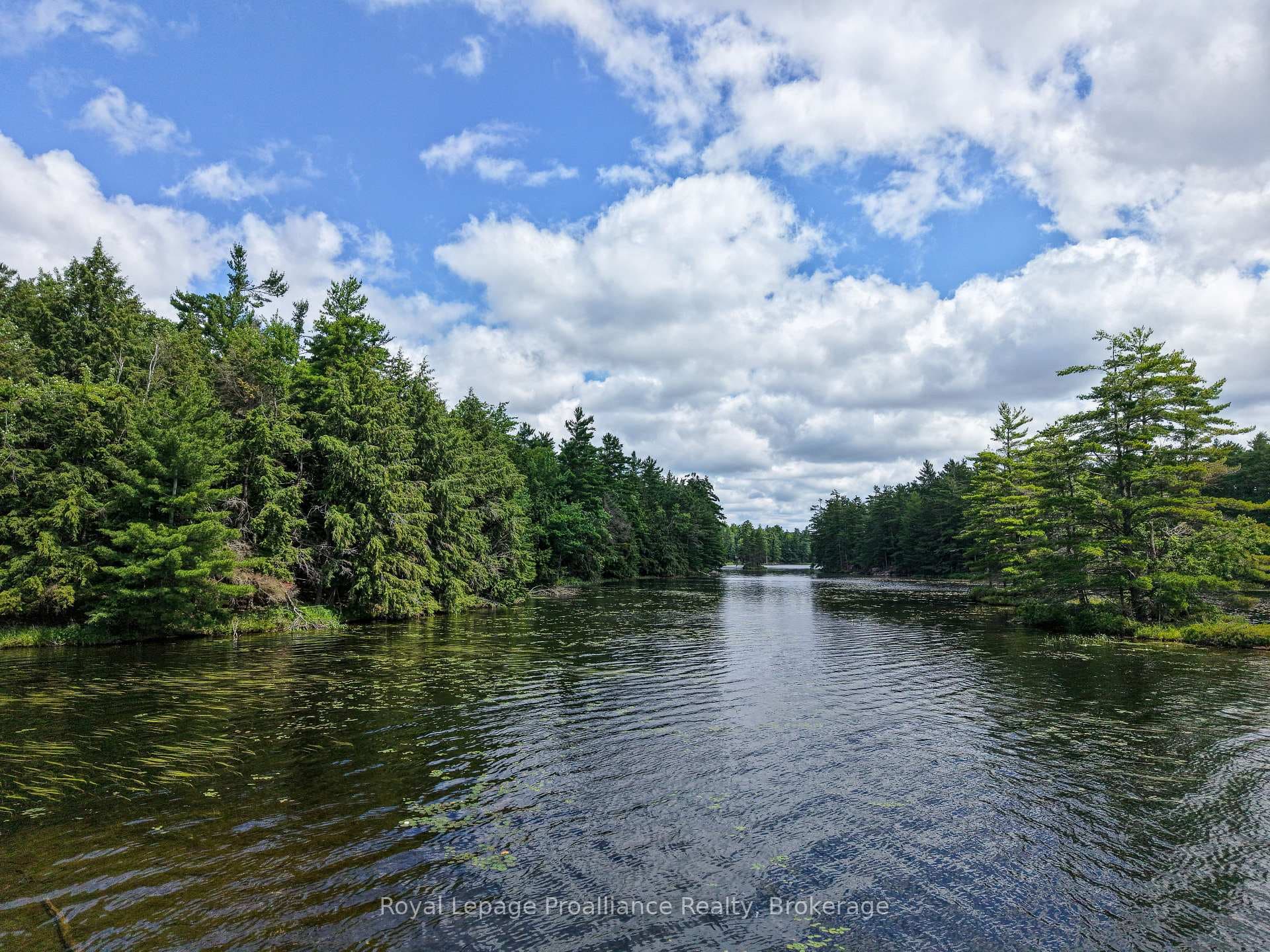 1 WAO Kasshabog Lake N/A photo 16