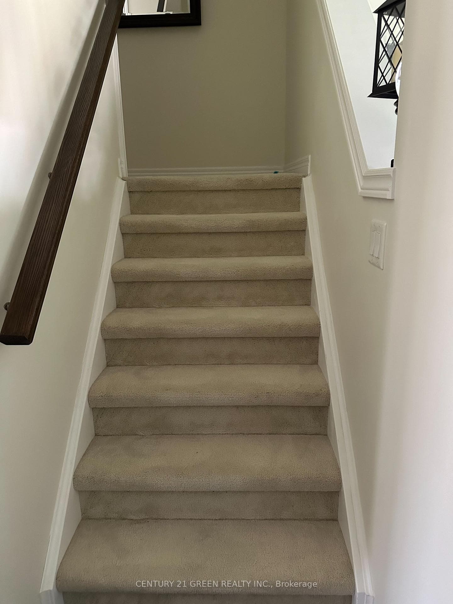 12 Freer Drive photo 9