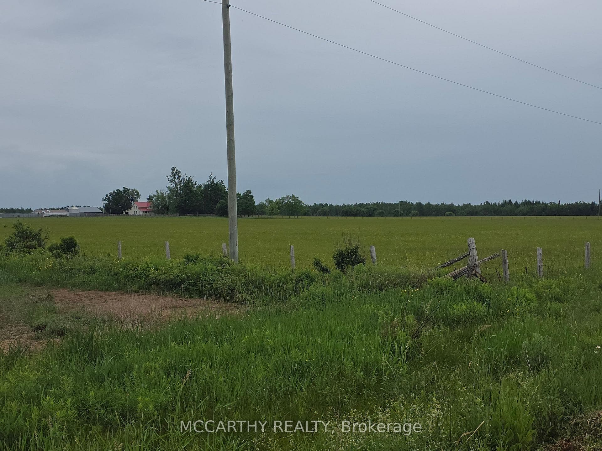 501098 Hwy # 89 N/A photo 17