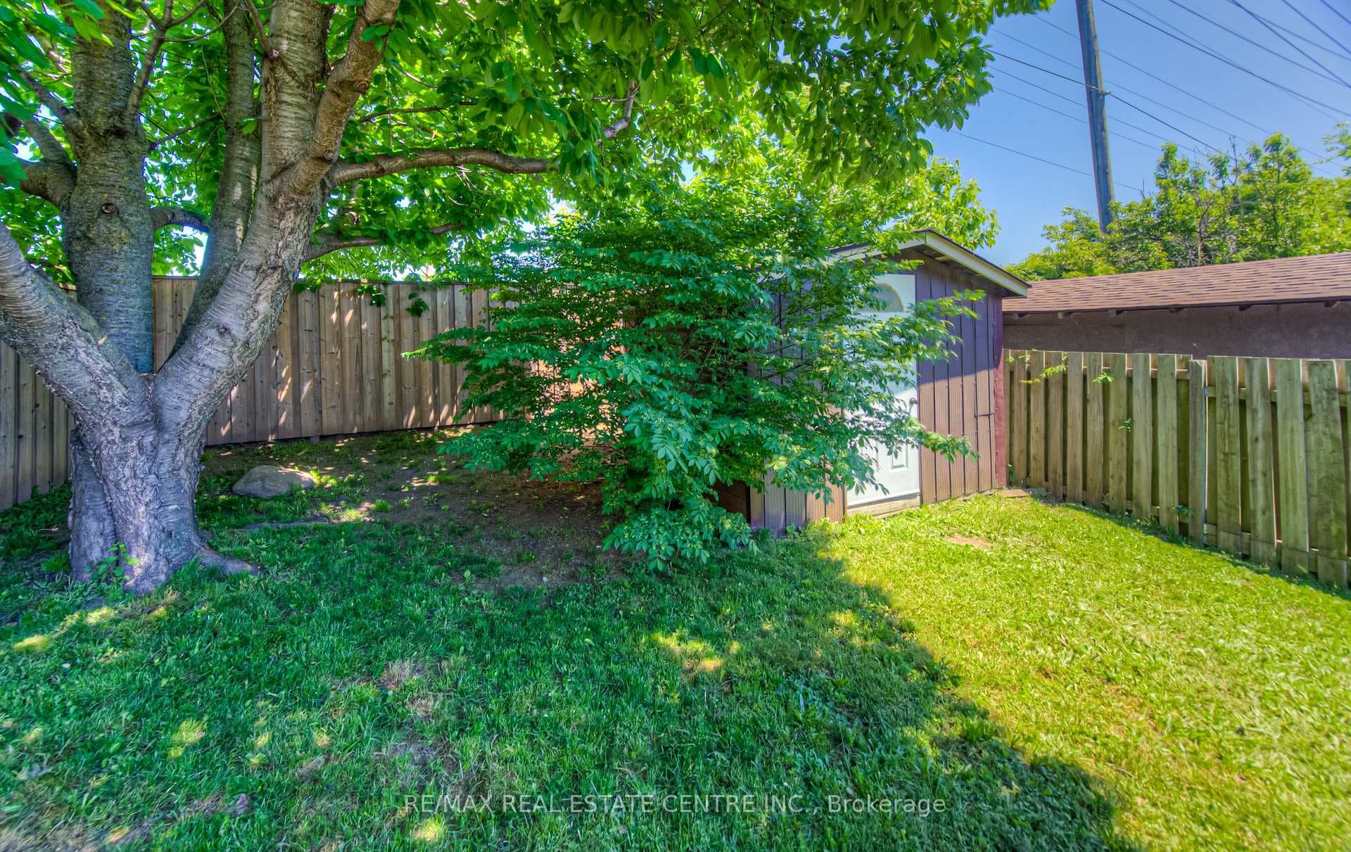8 Carter Crescent photo 31