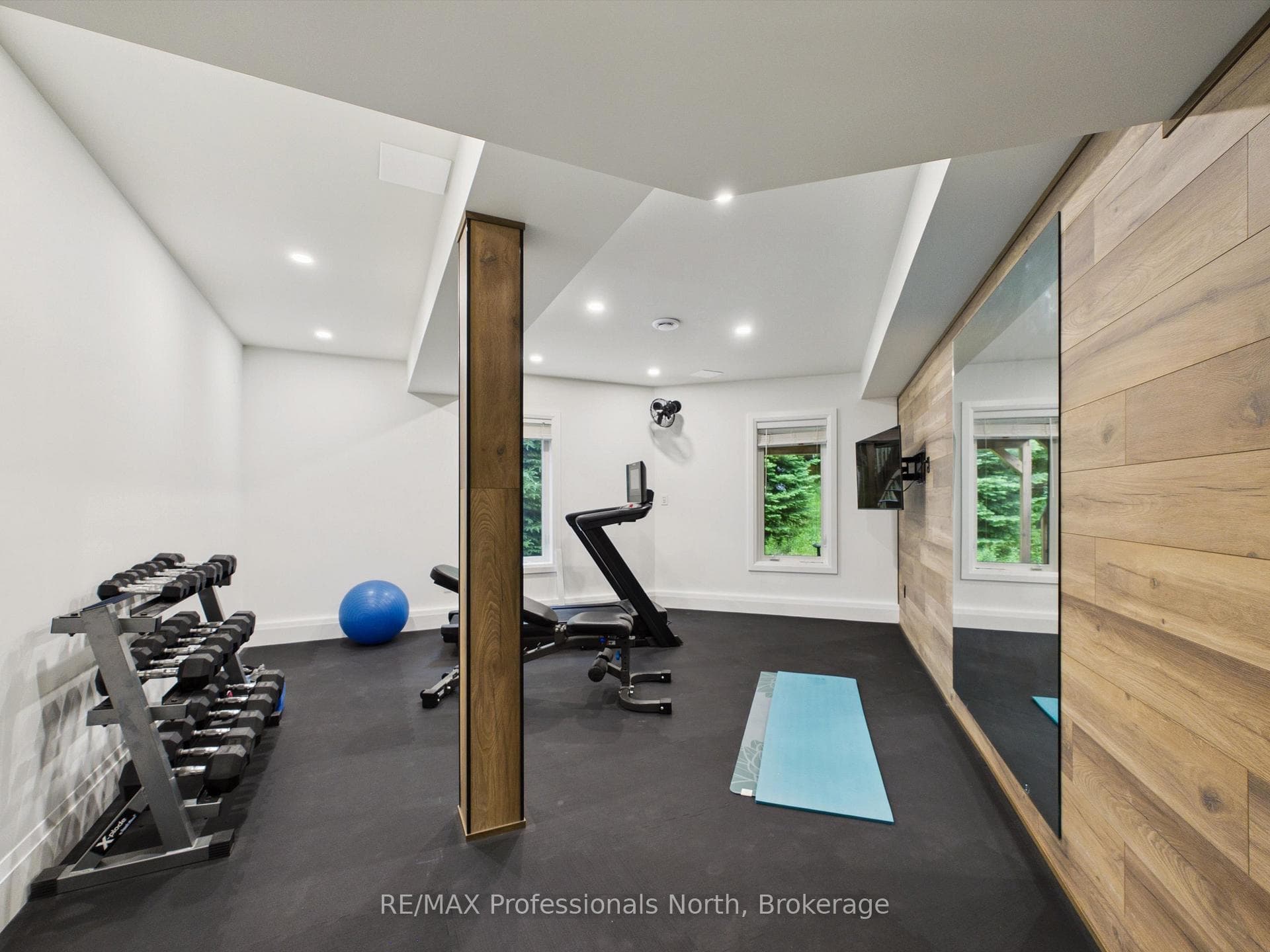 Lower level - home gym