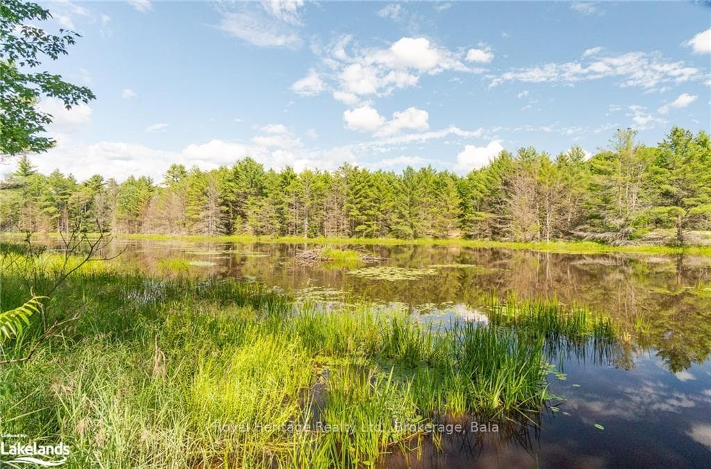 1186 SAM COOK Road photo 27