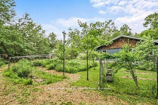 1005 Kirby's Beach Road photo 38