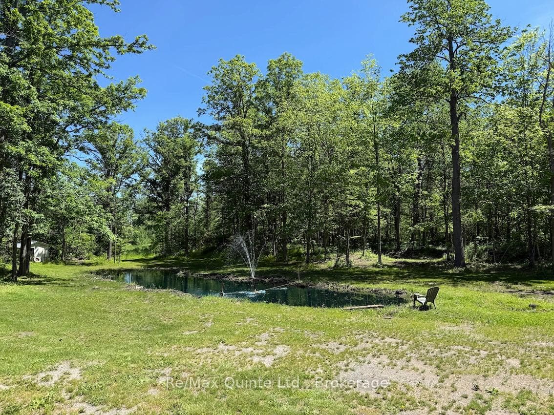 14184 Highway 62 N/A photo 22