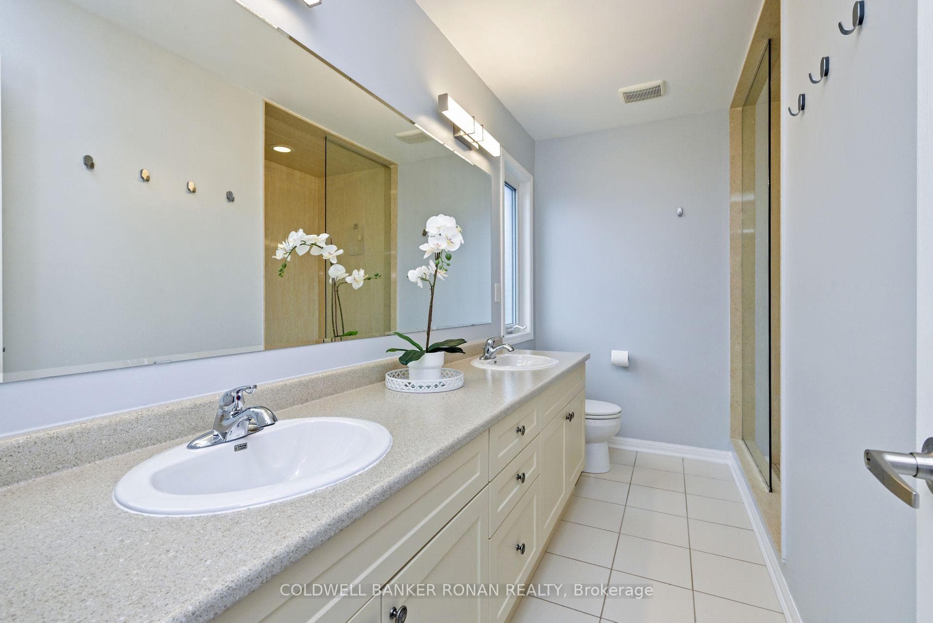 18 Ferris Lane photo 18