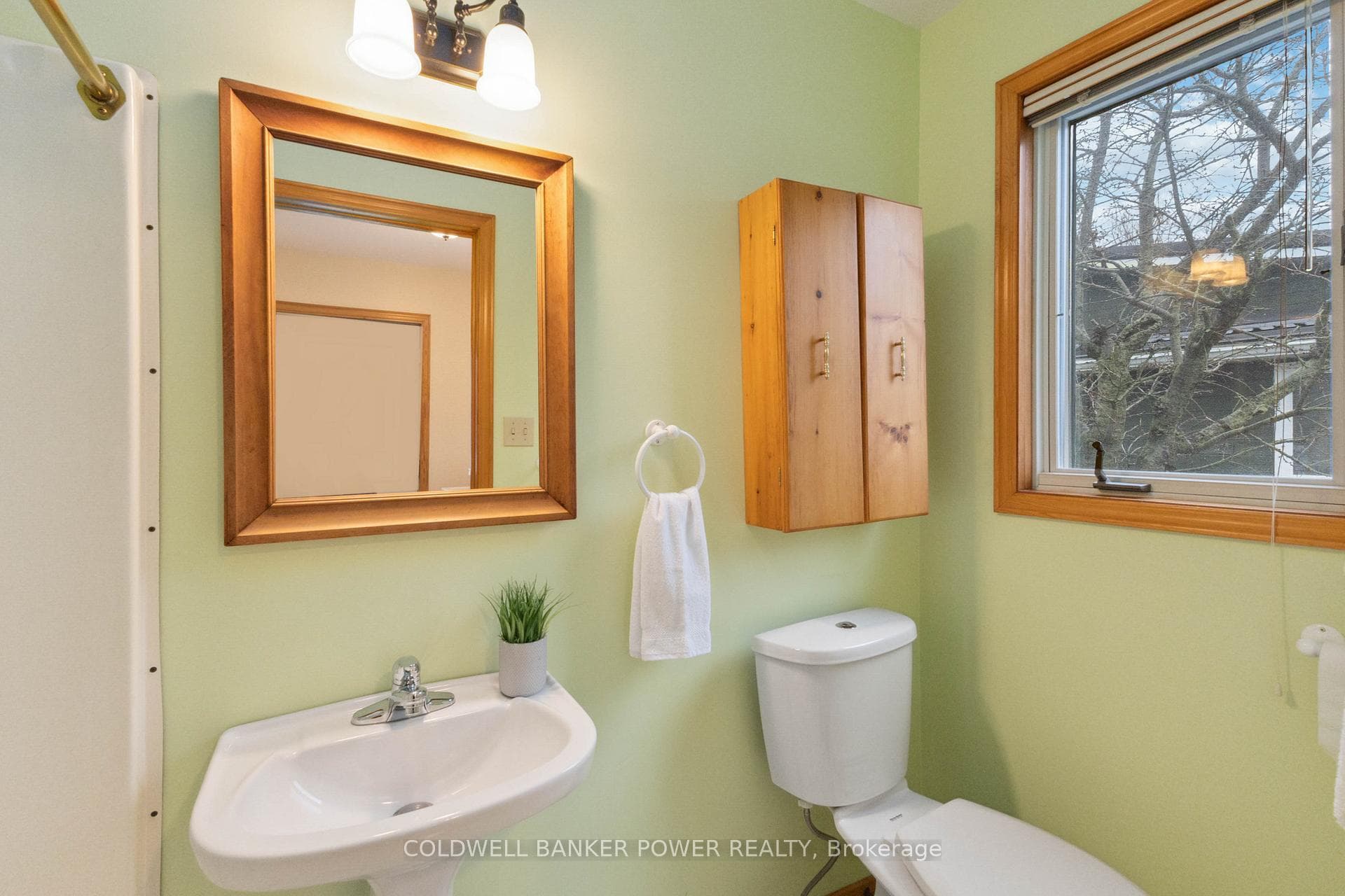 222 Cornell Drive photo 21
