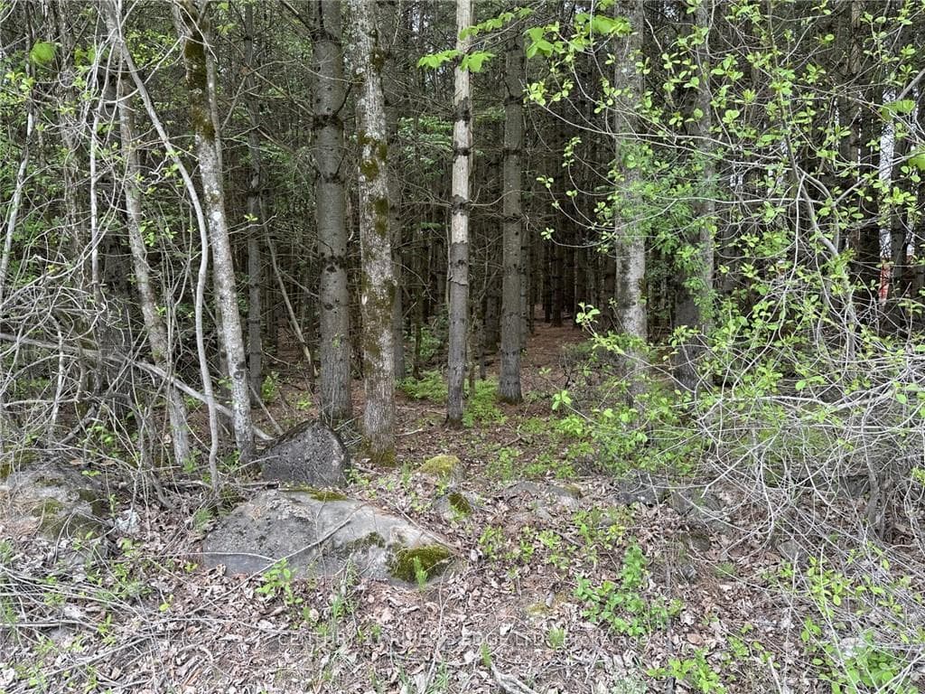 12082 LAND O'NOD Road photo 30