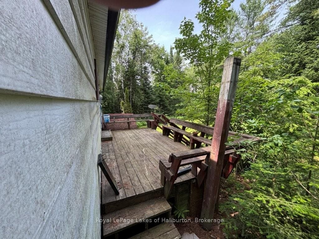 1019 Loyalist Drive photo 23