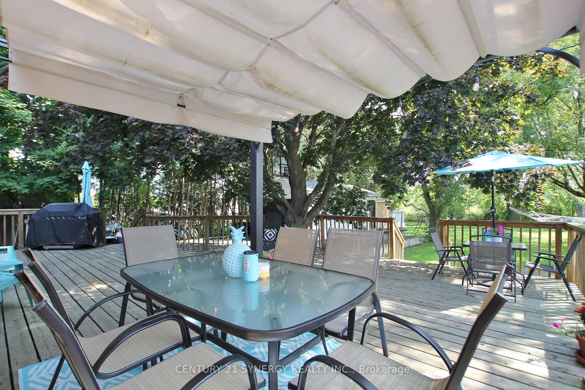 6164 Ottawa Street photo 38